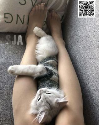 色综合888_电影免费观看